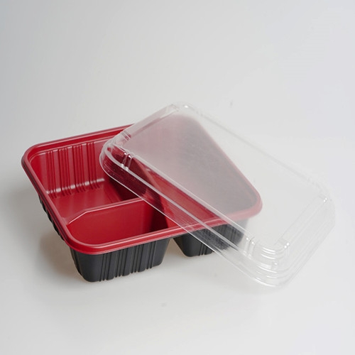 Plastic Food Containers with Lids - Takeaway - Microwave - Freezer Safe -  Boxes