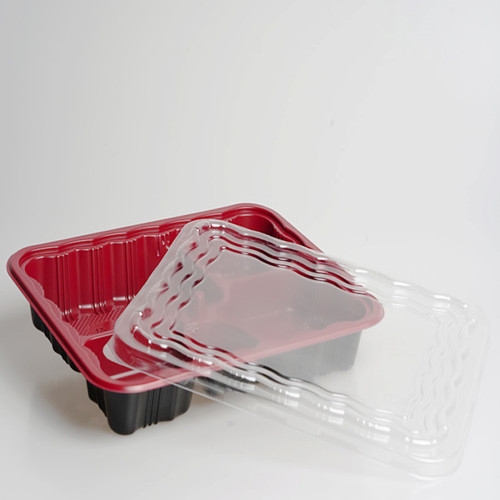 6 Compartment Disposable Bento Box Customized Pp Plastic 500Ml