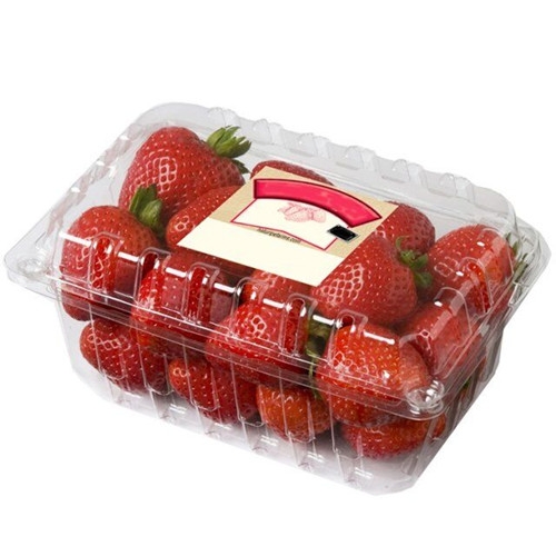 Plastic Disposable Transparent Clamshell Fruit Container Manufacturers