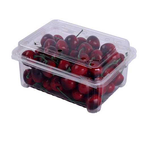 Plastic Disposable Transparent Clamshell Fruit Container Manufacturers